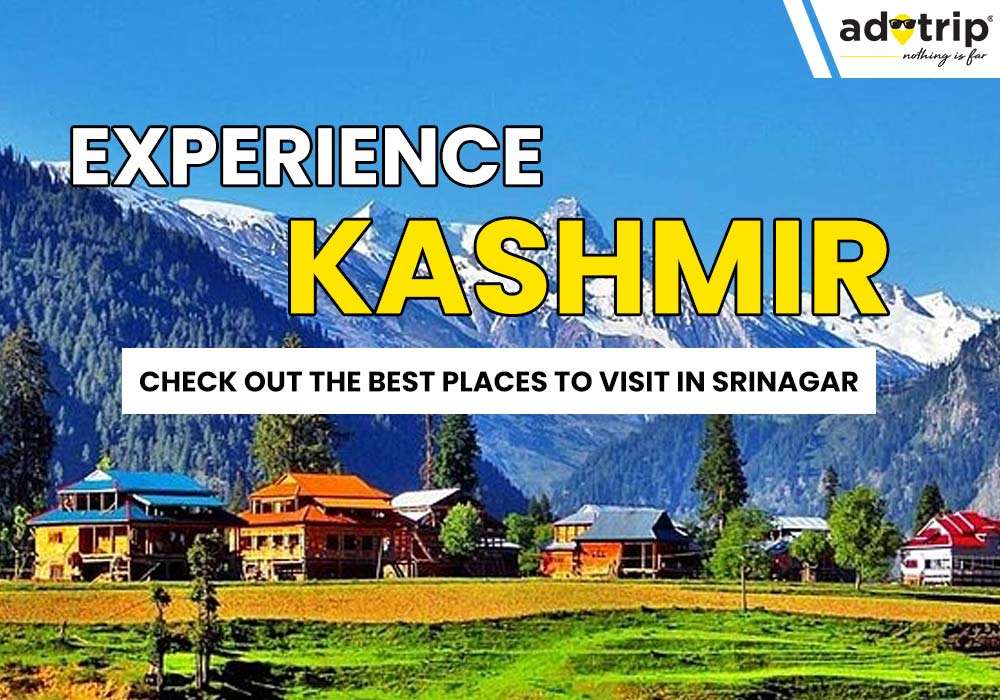 Places to Visit in Srinagar